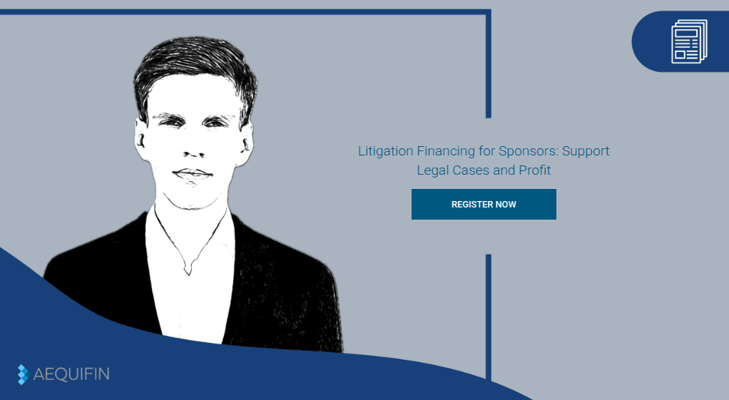Support Legal Cases and Profit: Litigation Financing for Sponsors Overview at a Glance
