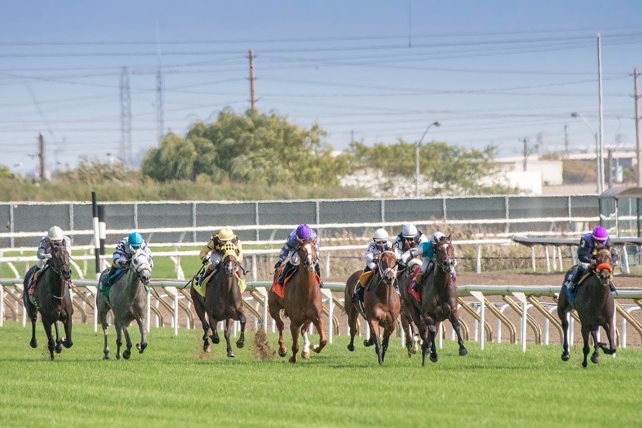 Singapore Horse Racing Online Betting: Your Gateway to Thrilling Wins