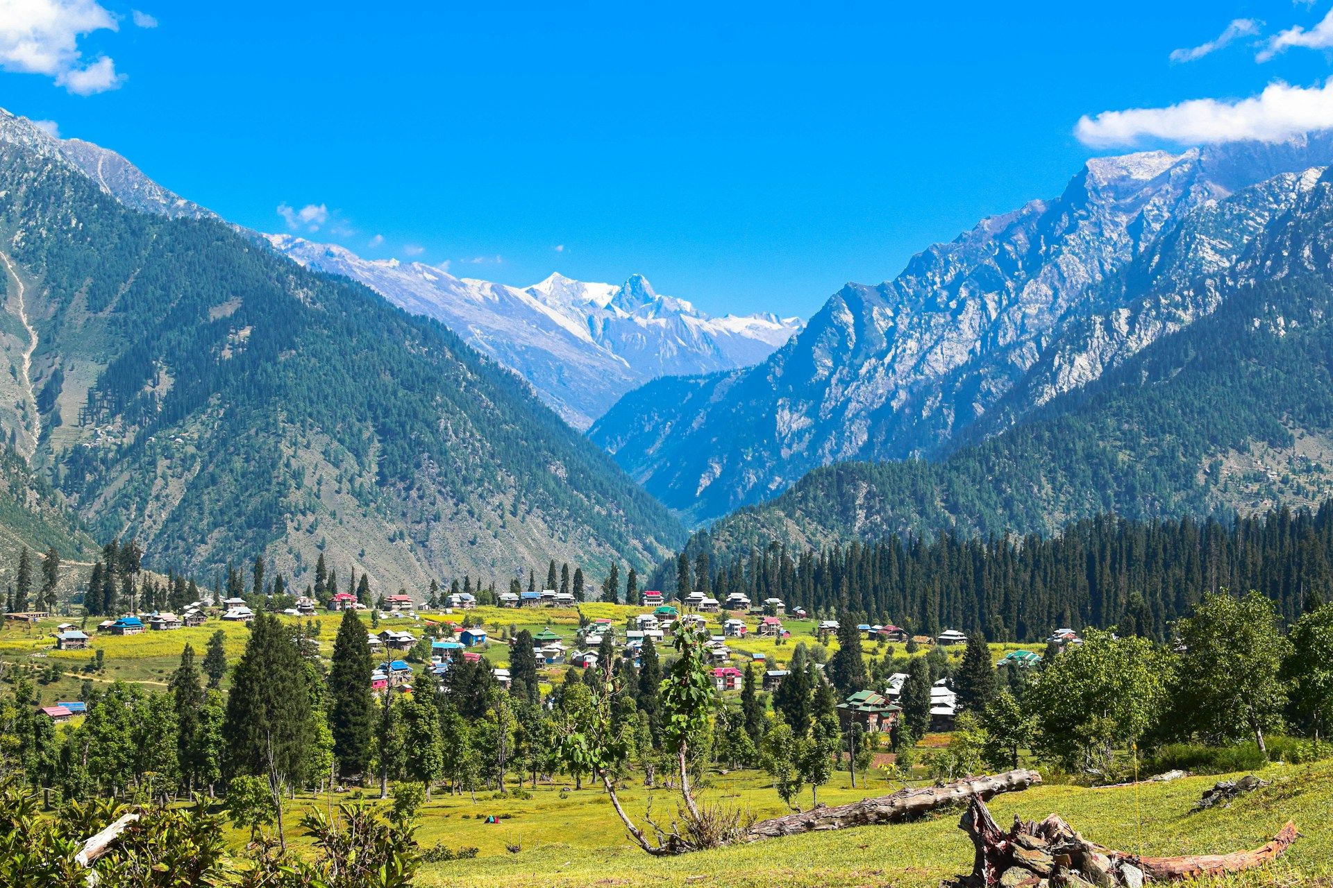 How to Choose the Best Kashmir Tour Package: A Practical Guide for Every Traveller