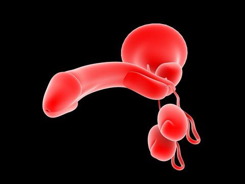 How much does permanent male enlargement surgery cost?