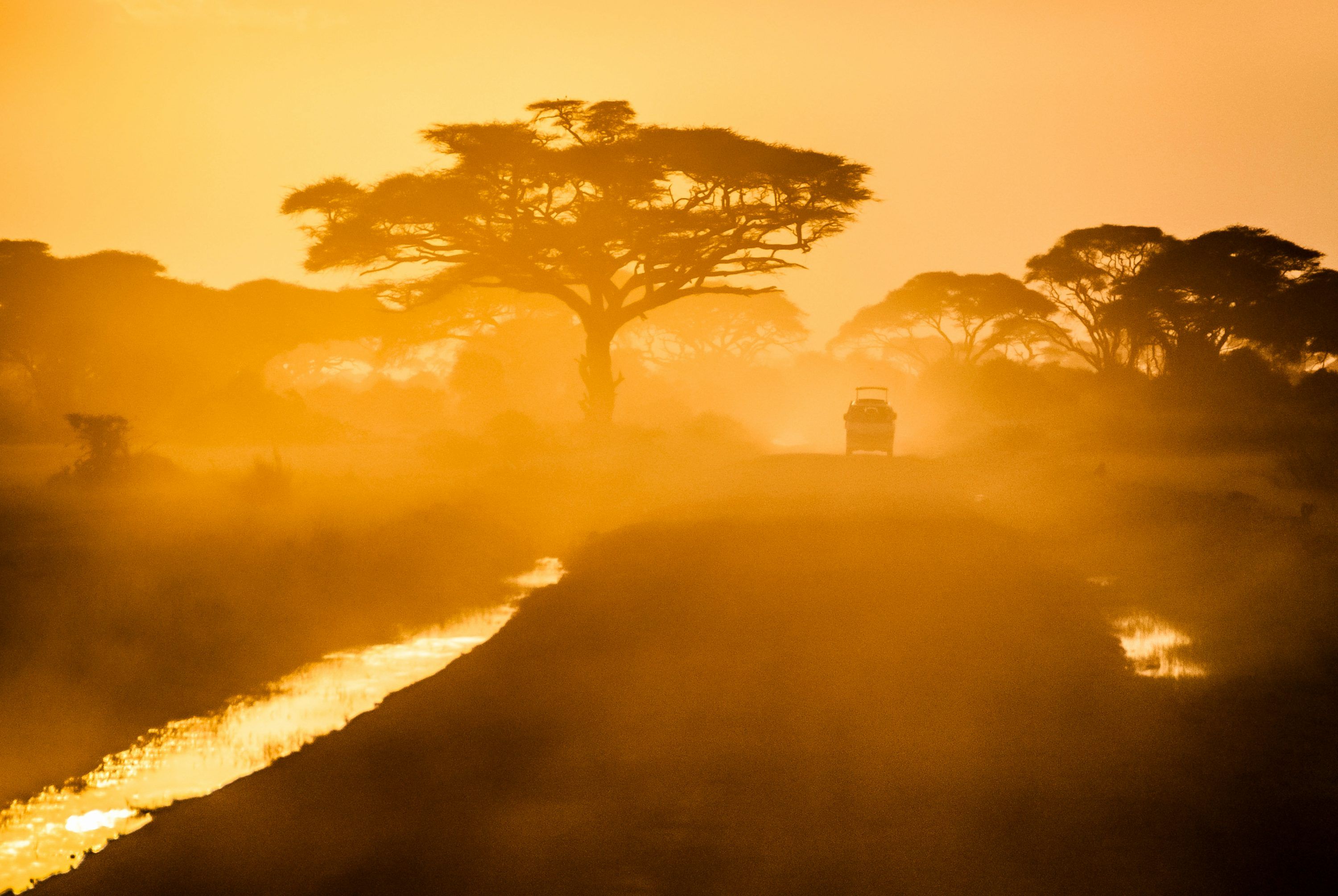 Trip To Tanzania: Your Ultimate Travel Guide