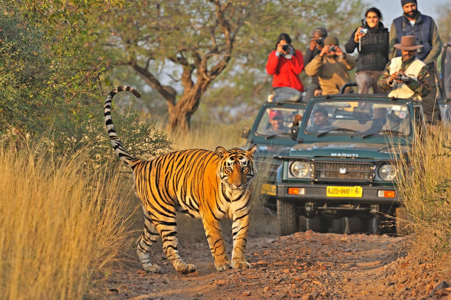 Exploring Rajasthan: The Best Historical Sites and Scenic Locations