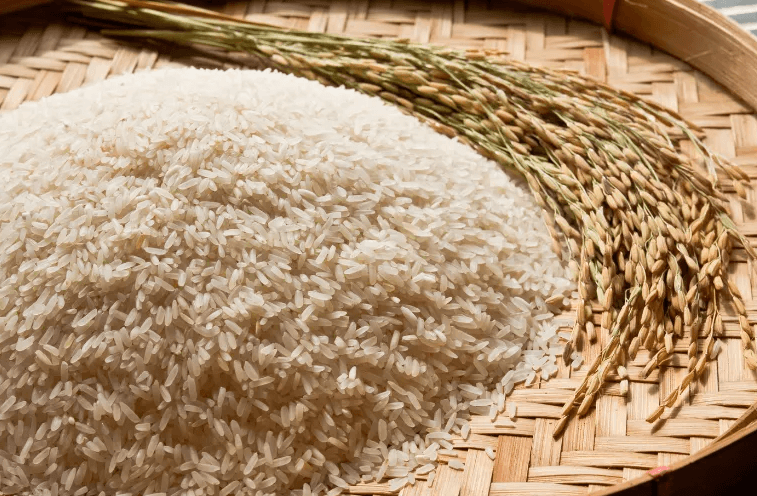 Rice Exporter Registration – Connect with Global Rice Buyers & Importers