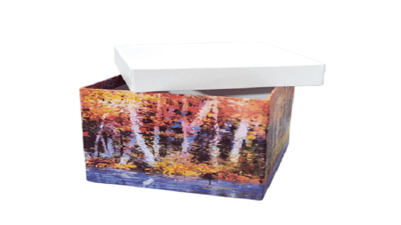 Premium Rigid Boxes – Custom Luxury Packaging for All Industries