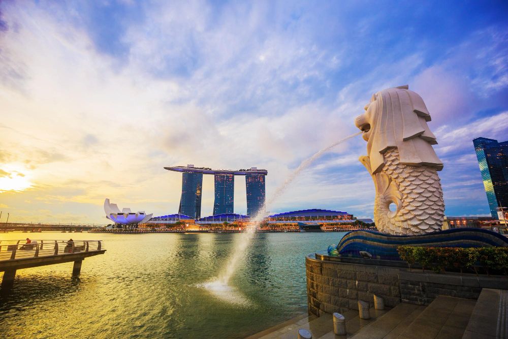 Thrill-Seeker’s Guide: Best Adventure Activities in Singapore