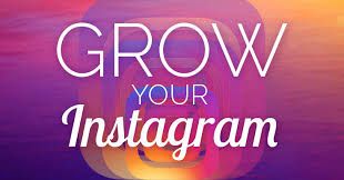 From Zero To Hero A Newcomer Guide To Growing Your Instagram Following