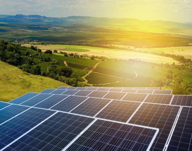 Best Solar Panel Brands in India with Prices & Reviews