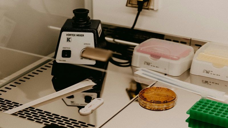 Harnessing the Potential of Recombinant Proteins