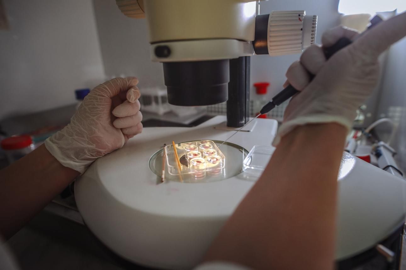 Freeze-All Strategy in IVF: When and Why It Is Recommended By Dr. Poonam Goyal