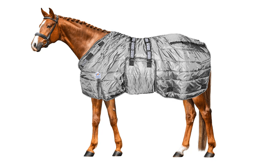How to Choose the Best and Most Comfortable Winter Blankets for Your Horse's Protection | Tack Wholesale