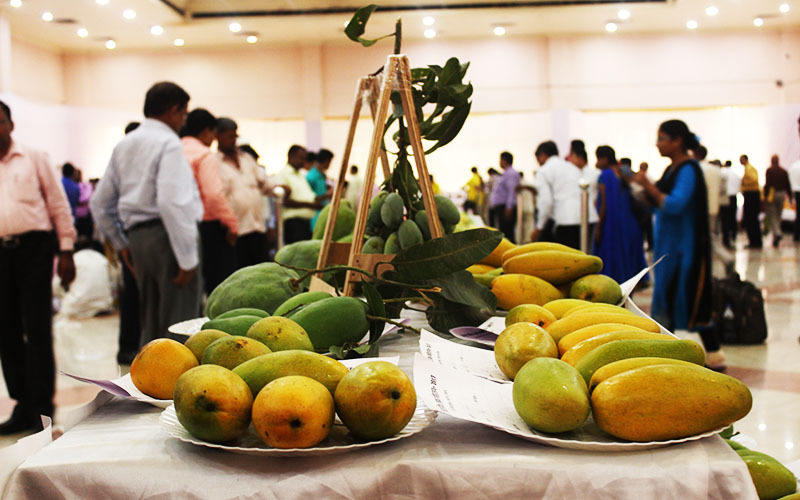 mango festival lucknow, lucknow mango festival, up mango festival lucknow, abstract, events in Lucknow, upcoming events in Lucknow, Lucknow mango festival, mango festival 2018, UP mango festival 2018