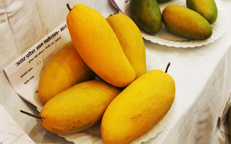 mango festival lucknow, lucknow mango festival, up mango festival lucknow, abstract, events in Lucknow, upcoming events in Lucknow, Lucknow mango festival, mango festival 2018, UP mango festival 2018