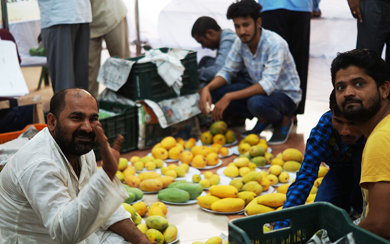 mango festival lucknow, lucknow mango festival, up mango festival lucknow, abstract, events in Lucknow, upcoming events in Lucknow, Lucknow mango festival, mango festival 2018, UP mango festival 2018