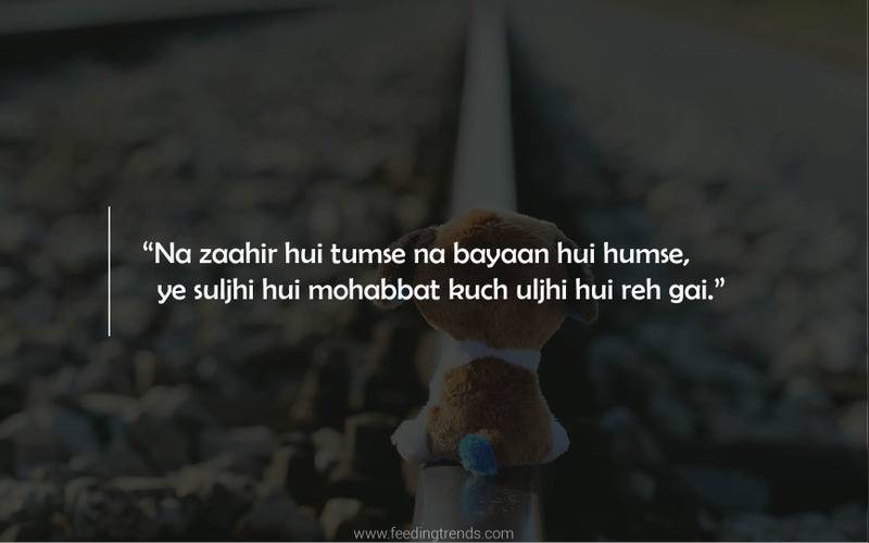 Culture, literature, love quotes, quotes on love, love, relationships, relationship quotes, english quotes, hindi quotes, love shayari, hindi shayari on love, writing shayaris, quotes for valentines day, valentines day quotes