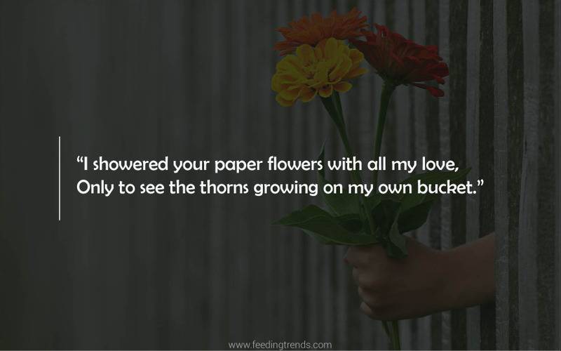 Culture, literature, love quotes, quotes on love, love, relationships, relationship quotes, english quotes, hindi quotes, love shayari, hindi shayari on love, writing shayaris, quotes for valentines day, valentines day quotes