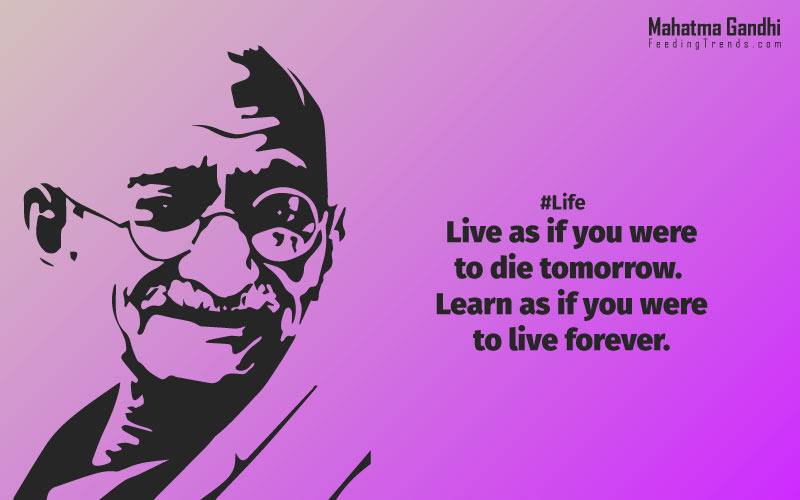 Live as if you were to die tomorrow. Learn as if you were to live forever.,The future depends on what we do in the present., Love is the strongest force the world possesses and yet it is the humblest imaginable. , The real love is to love them that hate you, to love your neighbour even though you distrust him.,Your action expresses your priorities.,The law of love could be best understood and learned through little children., Relationships are based on four principles: respect, understanding, acceptance, and appreciation, mahatma gandhi,Hollywood, Bollywood, gandhi jayanti, 2nd october, country, independence, india, patriotism, goals, life, faith, my experiments with truth, feeding trend, feeding, trends, mahatma Gandhi quotes, quotes by Gandhi, quotes by mahatma Gandhi,Gandhi hi quotes, Indian quotes, mahatma Gandhi quotes on love, mahatma Gandhi quotes on education, mahatma Gandhi quotes on life