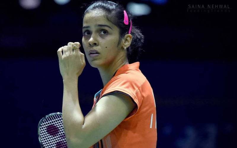 saina nehwal, saina nehwal biopic, saina nehwal medals, saina nehwal records, saina nehwal carer, saina, saina movie, badminton, saina badminton, shraddha kapoor, saina nehwal husband, saina nehwal biography, saina nehwal hobbies, saina nehwal information, saina nehwal debut, saina nehwal achievements, saina nehwal age, saina nehwal wikipedia,  female shuttler, amol gupta, pv sindhu, badminton premier league, bbd badminton academy, rio 2016, shradhha kapoor, stanley ka dabba, feeding trends,  Badminton World Federation, BWF, article on feeding trends, feeding trends article.