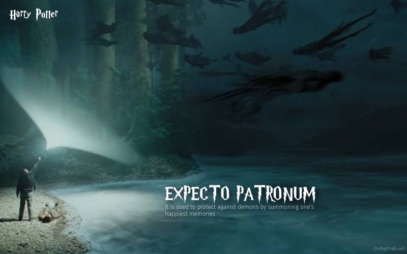 best hollywood movies, best fiction movie, harry potter series, author f harry potter, harry potter Hogwarts, harry potter witches, harry potter wizardry, feeding trends, feeding, trends, harry potter plot, harry potter magic spells, article on feeding trends, feeding trends article, harry potter spells meanings, harry potter movie spells