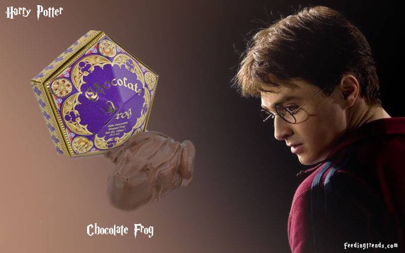 harry potter, harry potter delicacies, harry potter candies, harry potter toad, enchanting delicacies, feeding trends, feeding, trends, harry potter series, author of harry potter, harry potter Hogwarts, harry potter witches, harry potter wizardry, feeding trends, feeding, trends, harry potter plot, harry potter magic spells, article on feeding trends, feeding trends article, harry potter spells meanings, harry potter movie spells,  best hollywood movies, best fiction movie