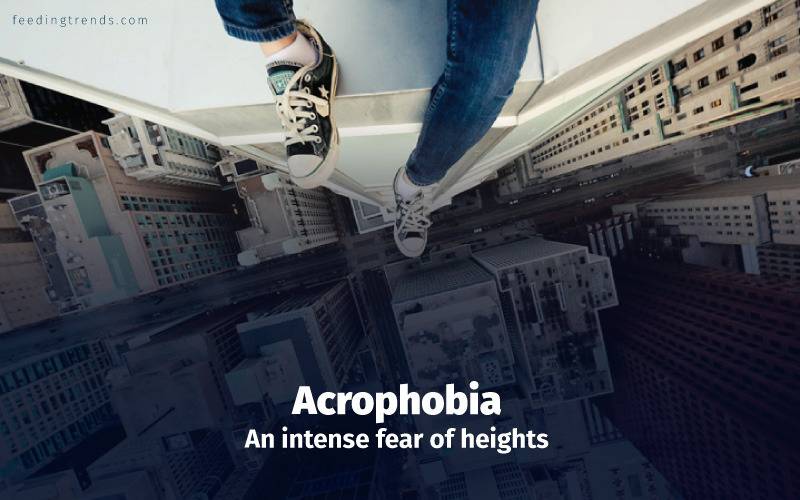 Phobia, phobia kinds, phobia causes, phobia treatments, phobia medication, phobia types, phobia facts, phobia examples, phobia disorder, mental disorder, phobia diagnose, panic attacks,  feeding trends, feeding trends article, article on feeding trends, what is phobia?, phobia definition, phobia therapy, phobia list