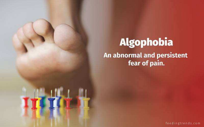 Phobia, phobia kinds, phobia causes, phobia treatments, phobia medication, phobia types, phobia facts, phobia examples, phobia disorder, mental disorder, phobia diagnose, panic attacks,  feeding trends, feeding trends article, article on feeding trends, what is phobia?, phobia definition, phobia therapy, phobia list