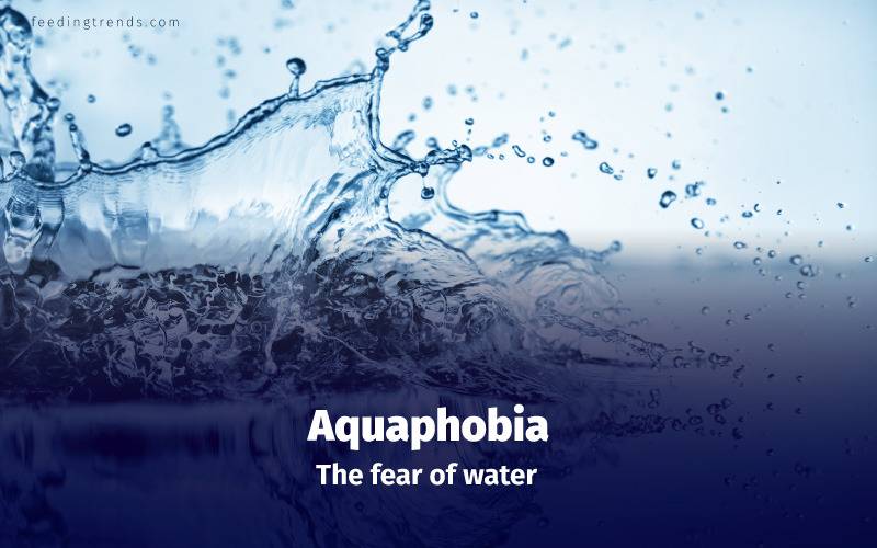 Phobia, phobia kinds, phobia causes, phobia treatments, phobia medication, phobia types, phobia facts, phobia examples, phobia disorder, mental disorder, phobia diagnose, panic attacks,  feeding trends, feeding trends article, article on feeding trends, what is phobia?, phobia definition, phobia therapy, phobia list