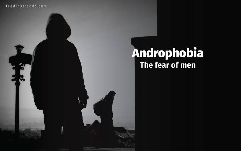 Phobia, phobia kinds, phobia causes, phobia treatments, phobia medication, phobia types, phobia facts, phobia examples, phobia disorder, mental disorder, phobia diagnose, panic attacks,  feeding trends, feeding trends article, article on feeding trends, what is phobia?, phobia definition, phobia therapy, phobia list