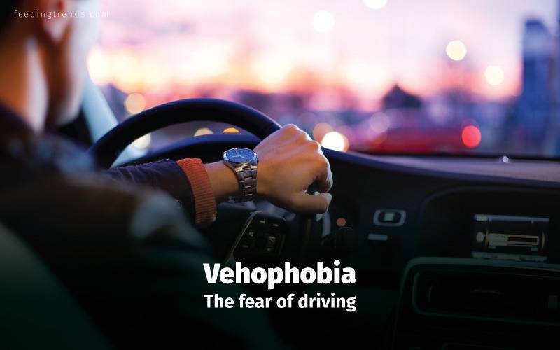 Phobia, phobia kinds, phobia causes, phobia treatments, phobia medication, phobia types, phobia facts, phobia examples, phobia disorder, mental disorder, phobia diagnose, panic attacks,  feeding trends, feeding trends article, article on feeding trends, what is phobia?, phobia definition, phobia therapy, phobia list