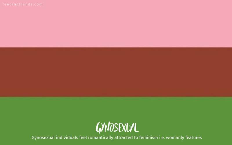 romantic orientation and sexuality, romantic orientation flags, asexual, demisexual, pansexual, demiromantic, what attracts you sexually, affectional orientations, sexual orientations, sexual orientations list, romantic orientations list,  omisexual, bisexual, heterosexual, homosexual, sapiosexual, polysexual, What Attracts You to a Sexual Partner, romantic orientation types list, types of sexualities, types of sexuality, types of romantic orientation,  what is your romantic orientation, sexual identities, gynosexual, androsexual, autosexual, feeding trends, article on sexuality, types of sexuality, sexuality types, sexual orientations, romantic orientations