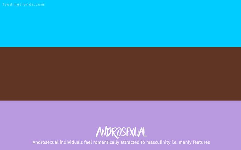 romantic orientation and sexuality, romantic orientation flags, asexual, demisexual, pansexual, demiromantic, what attracts you sexually, affectional orientations, sexual orientations, sexual orientations list, romantic orientations list,  omisexual, bisexual, heterosexual, homosexual, sapiosexual, polysexual, What Attracts You to a Sexual Partner, romantic orientation types list, types of sexualities, types of sexuality, types of romantic orientation,  what is your romantic orientation, sexual identities, gynosexual, androsexual, autosexual, feeding trends, article on sexuality, types of sexuality, sexuality types, sexual orientations, romantic orientations