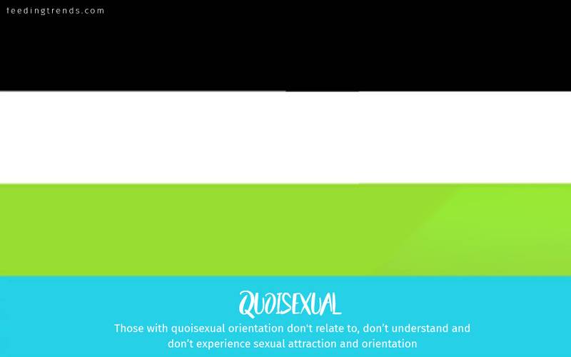 romantic orientation and sexuality, romantic orientation flags, asexual, demisexual, pansexual, demiromantic, what attracts you sexually, affectional orientations, sexual orientations, sexual orientations list, romantic orientations list,  omisexual, bisexual, heterosexual, homosexual, sapiosexual, polysexual, What Attracts You to a Sexual Partner, romantic orientation types list, types of sexualities, types of sexuality, types of romantic orientation,  what is your romantic orientation, sexual identities, gynosexual, androsexual, autosexual, feeding trends, article on sexuality, types of sexuality, sexuality types, sexual orientations, romantic orientations