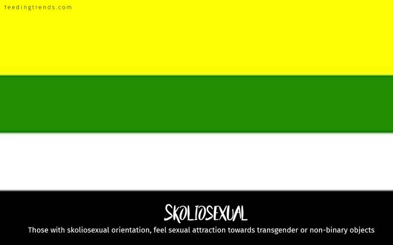 romantic orientation and sexuality, romantic orientation flags, asexual, demisexual, pansexual, demiromantic, what attracts you sexually, affectional orientations, sexual orientations, sexual orientations list, romantic orientations list,  omisexual, bisexual, heterosexual, homosexual, sapiosexual, polysexual, What Attracts You to a Sexual Partner, romantic orientation types list, types of sexualities, types of sexuality, types of romantic orientation,  what is your romantic orientation, sexual identities, gynosexual, androsexual, autosexual, feeding trends, article on sexuality, types of sexuality, sexuality types, sexual orientations, romantic orientations