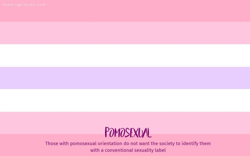 romantic orientation and sexuality, romantic orientation flags, asexual, demisexual, pansexual, demiromantic, what attracts you sexually, affectional orientations, sexual orientations, sexual orientations list, romantic orientations list,  omisexual, bisexual, heterosexual, homosexual, sapiosexual, polysexual, What Attracts You to a Sexual Partner, romantic orientation types list, types of sexualities, types of sexuality, types of romantic orientation,  what is your romantic orientation, sexual identities, gynosexual, androsexual, autosexual, feeding trends, article on sexuality, types of sexuality, sexuality types, sexual orientations, romantic orientations