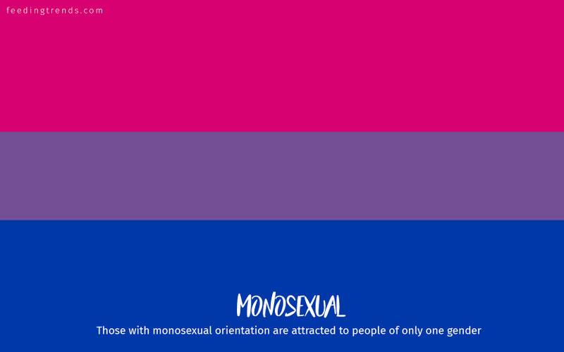 romantic orientation and sexuality, romantic orientation flags, asexual, demisexual, pansexual, demiromantic, what attracts you sexually, affectional orientations, sexual orientations, sexual orientations list, romantic orientations list,  omisexual, bisexual, heterosexual, homosexual, sapiosexual, polysexual, What Attracts You to a Sexual Partner, romantic orientation types list, types of sexualities, types of sexuality, types of romantic orientation,  what is your romantic orientation, sexual identities, gynosexual, androsexual, autosexual, feeding trends, article on sexuality, types of sexuality, sexuality types, sexual orientations, romantic orientations