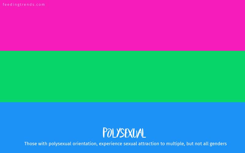 romantic orientation and sexuality, romantic orientation flags, asexual, demisexual, pansexual, demiromantic, what attracts you sexually, affectional orientations, sexual orientations, sexual orientations list, romantic orientations list,  omisexual, bisexual, heterosexual, homosexual, sapiosexual, polysexual, What Attracts You to a Sexual Partner, romantic orientation types list, types of sexualities, types of sexuality, types of romantic orientation,  what is your romantic orientation, sexual identities, gynosexual, androsexual, autosexual, feeding trends, article on sexuality, types of sexuality, sexuality types, sexual orientations, romantic orientations