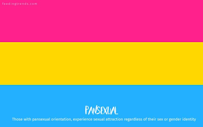 romantic orientation and sexuality, romantic orientation flags, asexual, demisexual, pansexual, demiromantic, what attracts you sexually, affectional orientations, sexual orientations, sexual orientations list, romantic orientations list,  omisexual, bisexual, heterosexual, homosexual, sapiosexual, polysexual, What Attracts You to a Sexual Partner, romantic orientation types list, types of sexualities, types of sexuality, types of romantic orientation,  what is your romantic orientation, sexual identities, gynosexual, androsexual, autosexual, feeding trends, article on sexuality, types of sexuality, sexuality types, sexual orientations, romantic orientations