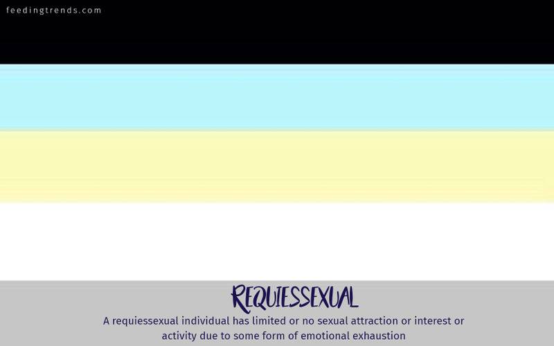 romantic orientation and sexuality, romantic orientation flags, asexual, demisexual, pansexual, demiromantic, what attracts you sexually, affectional orientations, sexual orientations, sexual orientations list, romantic orientations list,  omisexual, bisexual, heterosexual, homosexual, sapiosexual, polysexual, What Attracts You to a Sexual Partner, romantic orientation types list, types of sexualities, types of sexuality, types of romantic orientation,  what is your romantic orientation, sexual identities, gynosexual, androsexual, autosexual, feeding trends, article on sexuality, types of sexuality, sexuality types, sexual orientations, romantic orientations