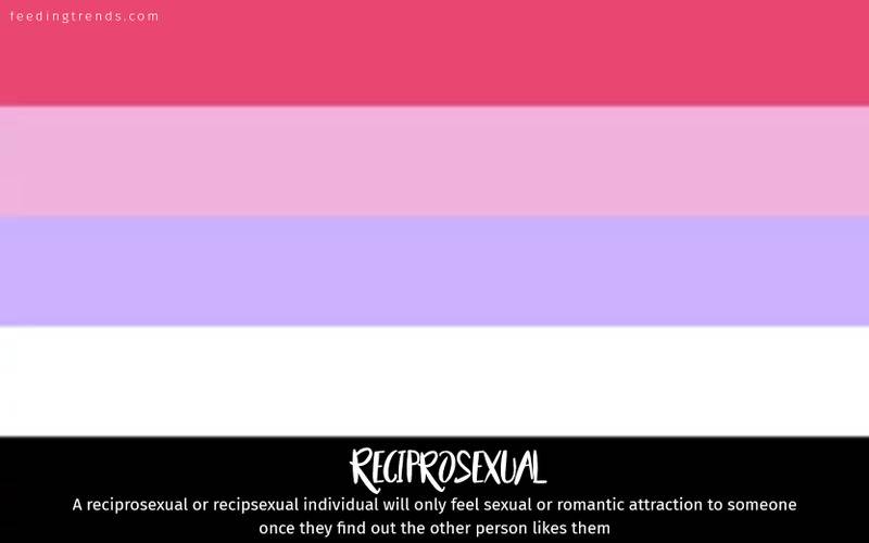 romantic orientation and sexuality, romantic orientation flags, asexual, demisexual, pansexual, demiromantic, what attracts you sexually, affectional orientations, sexual orientations, sexual orientations list, romantic orientations list,  omisexual, bisexual, heterosexual, homosexual, sapiosexual, polysexual, What Attracts You to a Sexual Partner, romantic orientation types list, types of sexualities, types of sexuality, types of romantic orientation,  what is your romantic orientation, sexual identities, gynosexual, androsexual, autosexual, feeding trends, article on sexuality, types of sexuality, sexuality types, sexual orientations, romantic orientations