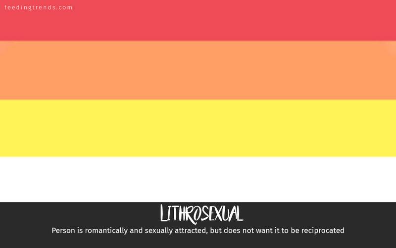 romantic orientation and sexuality, romantic orientation flags, asexual, demisexual, pansexual, demiromantic, what attracts you sexually, affectional orientations, sexual orientations, sexual orientations list, romantic orientations list,  omisexual, bisexual, heterosexual, homosexual, sapiosexual, polysexual, What Attracts You to a Sexual Partner, romantic orientation types list, types of sexualities, types of sexuality, types of romantic orientation,  what is your romantic orientation, sexual identities, gynosexual, androsexual, autosexual, feeding trends, article on sexuality, types of sexuality, sexuality types, sexual orientations, romantic orientations