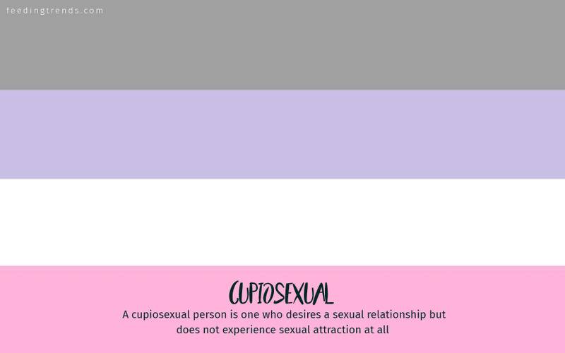 romantic orientation and sexuality, romantic orientation flags, asexual, demisexual, pansexual, demiromantic, what attracts you sexually, affectional orientations, sexual orientations, sexual orientations list, romantic orientations list,  omisexual, bisexual, heterosexual, homosexual, sapiosexual, polysexual, What Attracts You to a Sexual Partner, romantic orientation types list, types of sexualities, types of sexuality, types of romantic orientation,  what is your romantic orientation, sexual identities, gynosexual, androsexual, autosexual, feeding trends, article on sexuality, types of sexuality, sexuality types, sexual orientations, romantic orientations