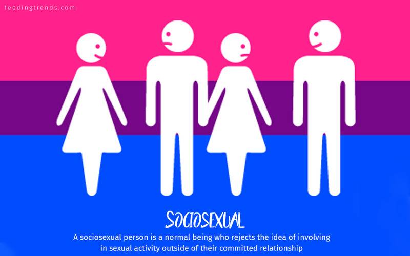 romantic orientation and sexuality, romantic orientation flags, asexual, demisexual, pansexual, demiromantic, what attracts you sexually, affectional orientations, sexual orientations, sexual orientations list, romantic orientations list,  omisexual, bisexual, heterosexual, homosexual, sapiosexual, polysexual, What Attracts You to a Sexual Partner, romantic orientation types list, types of sexualities, types of sexuality, types of romantic orientation,  what is your romantic orientation, sexual identities, gynosexual, androsexual, autosexual, feeding trends, article on sexuality, types of sexuality, sexuality types, sexual orientations, romantic orientations