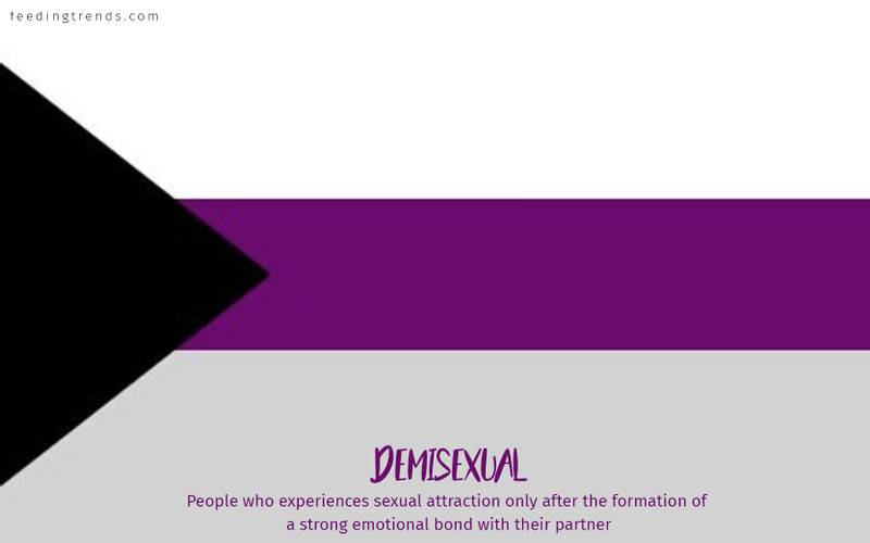 romantic orientation and sexuality, romantic orientation flags, asexual, demisexual, pansexual, demiromantic, what attracts you sexually, affectional orientations, sexual orientations, sexual orientations list, romantic orientations list,  omisexual, bisexual, heterosexual, homosexual, sapiosexual, polysexual, What Attracts You to a Sexual Partner, romantic orientation types list, types of sexualities, types of sexuality, types of romantic orientation,  what is your romantic orientation, sexual identities, gynosexual, androsexual, autosexual, feeding trends, article on sexuality, types of sexuality, sexuality types, sexual orientations, romantic orientations