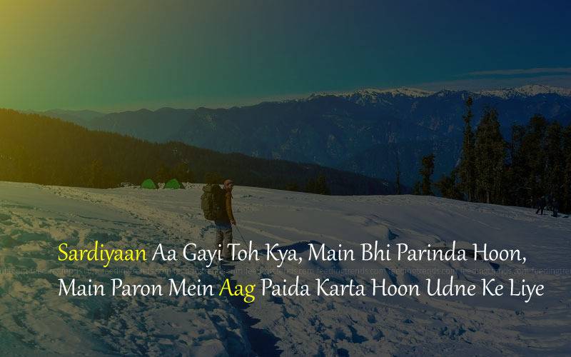 winter shayari, winter quotes, romantic winter shayari, romantic winter quotes, love winter shayari, love winter quotes, passionate winter shayari, passionate winter quotes, December winter shayari, December winter quotes, winter shayari in Urdu, winter shayari in Hindi, winter shayari in English, famous winter shayari, famous winter quotes, popular winter shayari, popular winter quotes, Feeding Trends stories, Feeding Trends article, Feeding Trends Events