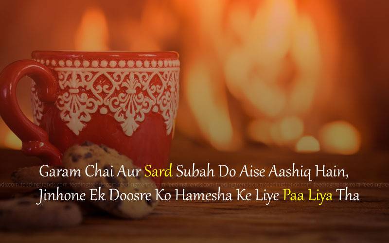 winter shayari, winter quotes, romantic winter shayari, romantic winter quotes, love winter shayari, love winter quotes, passionate winter shayari, passionate winter quotes, December winter shayari, December winter quotes, winter shayari in Urdu, winter shayari in Hindi, winter shayari in English, famous winter shayari, famous winter quotes, popular winter shayari, popular winter quotes, Feeding Trends stories, Feeding Trends article, Feeding Trends Events