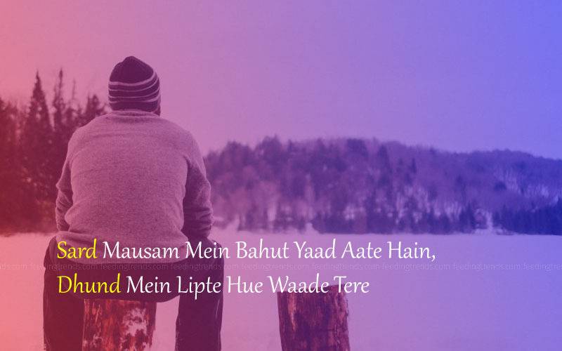 winter shayari, winter quotes, romantic winter shayari, romantic winter quotes, love winter shayari, love winter quotes, passionate winter shayari, passionate winter quotes, December winter shayari, December winter quotes, winter shayari in Urdu, winter shayari in Hindi, winter shayari in English, famous winter shayari, famous winter quotes, popular winter shayari, popular winter quotes, Feeding Trends stories, Feeding Trends article, Feeding Trends Events