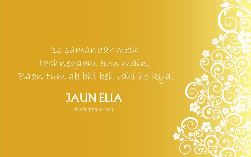 Jaun elia, Jaun elia poetries, jaun elia indian poet, jaun elia poet, jaun elia urdu couplets, jaun elia couplets, jaun elia poetry in english, jaun elia poetry in urdu for pakistan, jaun elia poetry in urdu love, jaun elia poetry in urdu text, jaun elia famous poetry in urdu, jaun elia islamic shayari, jaun elia poetry in urdu for youth, jaun elia poetry in hindi, jaun elia literature, literary, poetry, Urdu poetry, love poetry, romance poetry, jaun elia poetries urdu, jaun elia famous poetry, jaun elia famous shayari, jaun elia shayari images, jaun elia shayari urdu images, jaun elia shayari english images, jaun elia quotes, qbal Shayari, Urdu Shayari, Jaun elia Urdu poetry, Jaun elia motivational poetry, Jaun elia inspirational poetry, Jaun elia literature, Jaun elia works, Jaun elia life, poetry on pain, poetry on sorrow, poetry on inspiration, Jaun elia friendship, Jaun elia education, Jaun elia scholar, Jaun elia and British rule, Jaun elia philosophy, Jaun elia India, Jaun elia Indian poet, feeding trends, feeding trends article, article on feeding trends, Jaun elia Urdu poetry, Jaun elia love poetry, Jaun elia romance poetry, poetry on love, poetry on romance, poetry on motivation, feeding trends