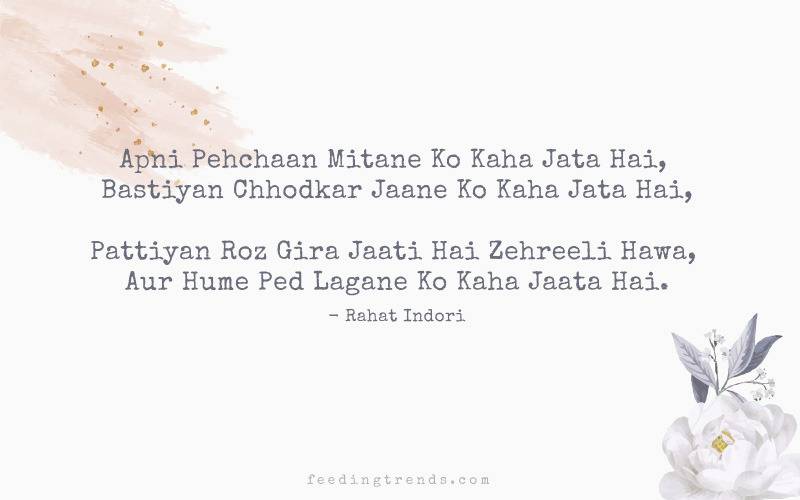 Rahat Indori, Rahat Indori shayari, Rahat Indori poetry, Rahat Indori death, Rahat Indori quotes, Rahat Indori best shayari, Rahat Indori ke sher, Rahat Indori ke ashar, shayari, poetry, Rahat Indori Feeding Trends