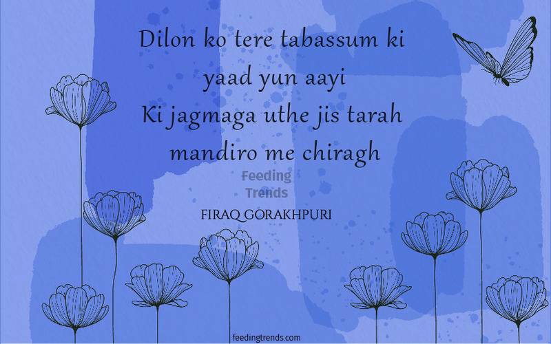 firaq gorakhpuri, firaq gorakhpuri quotes, firaq gorakhpuri shayari, firaq gorakhpuri poetry, raghupati sahay, urdu poets of India, urdu poetry by firaq gorakhpuri, famous poetry by firaq gorakhpuri, urdu shayari by firaq gorakhpuri, famous shayari by firaq gorakhpuri, best firaq Gorakhpuri Shayari, feeding trends, raghupati sahay firaq shayari, firaq gorakhpuri selected poetry, firaq gorakhpuri personal life, firaq gorakhpuri rekhta, firaq gorakhpuri books, raghupati sahai firaq shaam bhi thi, firaq meaning, Firaq Gorakhpuri Ki Shayari