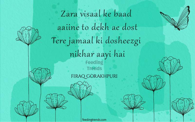 firaq gorakhpuri, firaq gorakhpuri quotes, firaq gorakhpuri shayari, firaq gorakhpuri poetry, raghupati sahay, urdu poets of India, urdu poetry by firaq gorakhpuri, famous poetry by firaq gorakhpuri, urdu shayari by firaq gorakhpuri, famous shayari by firaq gorakhpuri, best firaq Gorakhpuri Shayari, feeding trends, raghupati sahay firaq shayari, firaq gorakhpuri selected poetry, firaq gorakhpuri personal life, firaq gorakhpuri rekhta, firaq gorakhpuri books, raghupati sahai firaq shaam bhi thi, firaq meaning, Firaq Gorakhpuri Ki Shayari