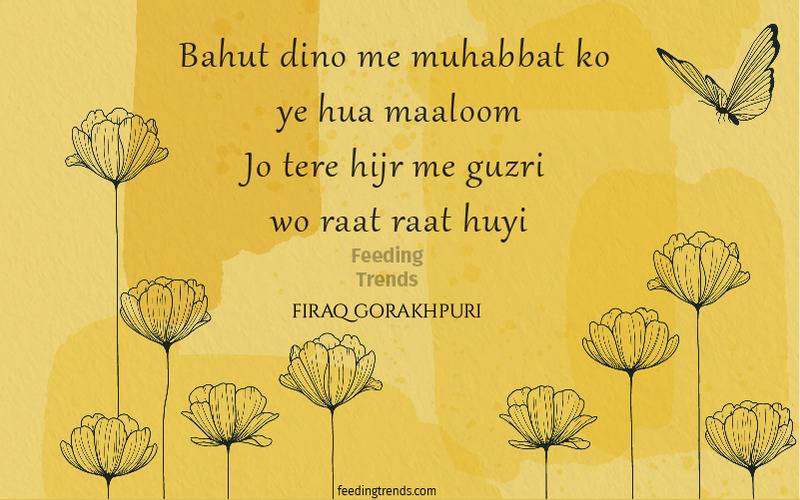 firaq gorakhpuri, firaq gorakhpuri quotes, firaq gorakhpuri shayari, firaq gorakhpuri poetry, raghupati sahay, urdu poets of India, urdu poetry by firaq gorakhpuri, famous poetry by firaq gorakhpuri, urdu shayari by firaq gorakhpuri, famous shayari by firaq gorakhpuri, best firaq Gorakhpuri Shayari, feeding trends, raghupati sahay firaq shayari, firaq gorakhpuri selected poetry, firaq gorakhpuri personal life, firaq gorakhpuri rekhta, firaq gorakhpuri books, raghupati sahai firaq shaam bhi thi, firaq meaning, Firaq Gorakhpuri Ki Shayari